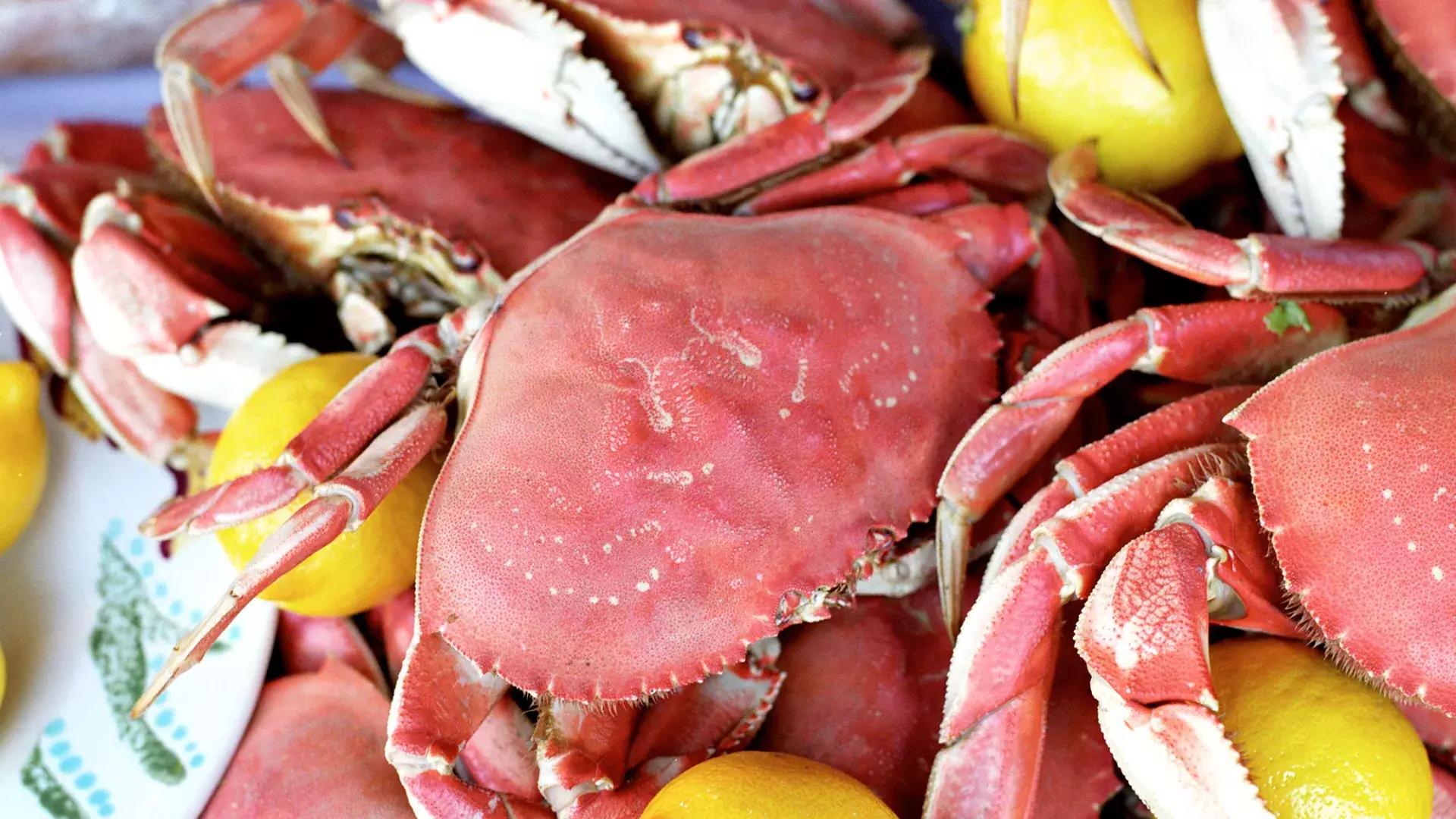 Gros plan d'un tas de crabes cuits avec des tranches de citron sur un plateau.