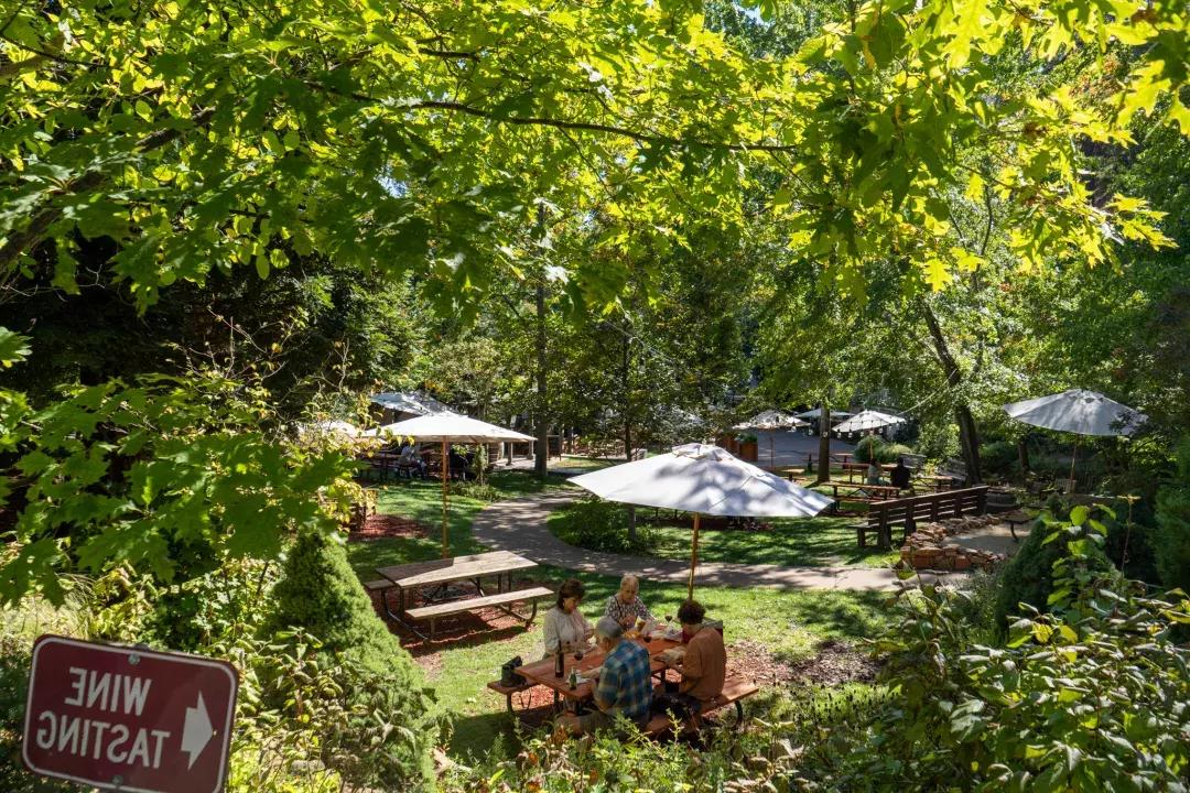 豪华的绿色野餐区，一群人坐在桌子旁品尝葡萄酒